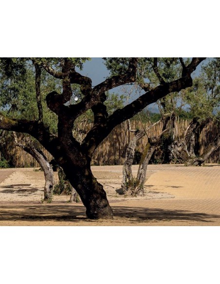 Isolant Biosourcé liège