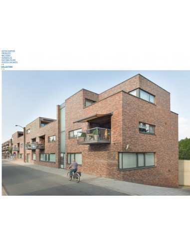 Brique de parement - T16 - NELISSEN